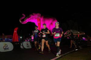 BIB: 
                            <button type="button" onclick="openModal(26543784)" class="btn btn-primary btn-sm float-right btn-popup" data-toggle="modal" data-target=".modal-high-quality">
                        <i class="fas fa-shopping-cart"></i> Add to Cart
                    </button>
                                            <button type="button" onclick="isThisMe(26543784, true)" class="btn btn-success btn-sm float-right btn-popup btn-isme hidden" data-toggle="tooltip" data-placement="bottom" title="นี่คือรูปของคุณใช่ไหม คลิกที่นี่เพื่อเอาเข้าอัลบั้ม">
                        <i class="fas fa-plus"></i> Add to album
                    </button>
                    <button type="button" onclick="isThisMe(26543784, false)" class="btn btn-warning btn-sm float-right btn-popup btn-isnotme hidden">
                        <i class="fas fa-ban"></i> Remove from album
                    </button>